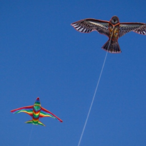 Sankranti Kite Flying Festival 2024
