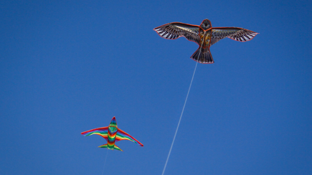 Sankranti Kite Flying Festival 2024